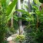 Горящие туры в отель 4 House Residence - 5