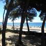 Горящие туры в отель Apartamentos Internacional Arysal - 6