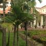 Горящие туры в отель Royal Angkor - 2