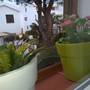 Горящие туры в отель Estival Park Apt - Punta Prima - 2