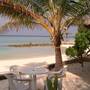 Горящие туры в отель Summer Island Village - 3