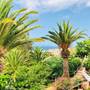 Горящие туры в отель Regency Torviscas Apartments and Suites - 6