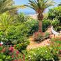 Горящие туры в отель Regency Torviscas Apartments and Suites - 3