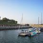 Горящие туры в отель Golden Tulip Al Jazira Hotel & Resort - 5