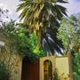 Горящие туры в отель Villa Le Jasmin Tozeur - 1