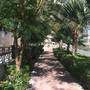 Горящие туры в отель Signature Holiday Home-Elite Residence 1 - 5