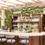 Горящие туры в отель Four Seasons Hotel Dubai International Financial Centre - 4