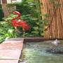 Горящие туры в отель Arabian Hotel Apartments - 2