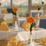 Горящие туры в отель Sol Luna Bay Resort & Aquapark - 6