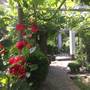 Горящие туры в отель Guest House Barbov - 1