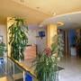 Горящие туры в отель Hotel Sun - 4