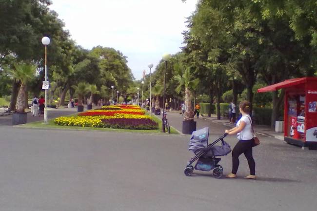 Апартмент Войнишка