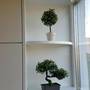 Горящие туры в отель Apartment Plamen Delux - 6
