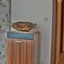Горящие туры в отель Apartment Lazur - Morska Gradina - 6