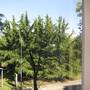 Горящие туры в отель City Comfort Apartment - 2