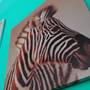 Горящие туры в отель Hostel Zebra - 2