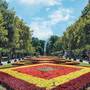 Горящие туры в отель Apartment Primorskiy Park - 4