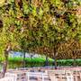 Горящие туры в отель Izola Paradise Hotel - All Inclusive - 6