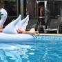 Горящие туры в отель Vanilla Garden Apartcomplex Apart - 2