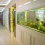 Горящие туры в отель Apartcomplex Harmony Suites - Dream Island - 1