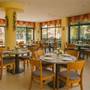 Горящие туры в отель Hotel Perunika - 4