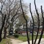 Горящие туры в отель Primorski Apartment - 2