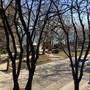 Горящие туры в отель Primorski Apartment - 5