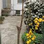 Горящие туры в отель Guest House Siesta - 1