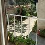 Горящие туры в отель Guest House Siesta - 2