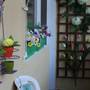 Горящие туры в отель Apartment International - 5