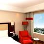 Горящие туры в отель Radisson Hotel Agra - 1