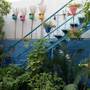 Горящие туры в отель The Coral Tree Homestay - 1