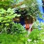 Горящие туры в отель The Coral Tree Homestay - 6