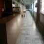 Горящие туры в отель Hotel Dharamlok - 1