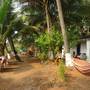 Горящие туры в отель Green Yoga India Resort - 2