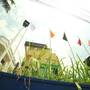 Горящие туры в отель SS Beach Resort - 5