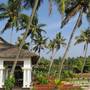 Горящие туры в отель Palm Tree Bungalow - 5