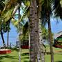 Горящие туры в отель Blooming Bay - Clifftop Beach Resort - 2