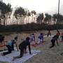 Горящие туры в отель M R Beach & Cottages - 1