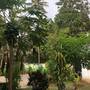 Горящие туры в отель Divine Bliss Beach Resort - 4