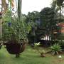 Горящие туры в отель Divine Bliss Beach Resort - 1