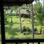 Горящие туры в отель Mektoub Beach Resort - 6