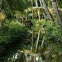 Горящие туры в отель Green Villa Garden Home & Guesthouse - 4