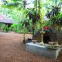 Горящие туры в отель V Resorts Bohemian Masala Resort - 2