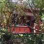 Горящие туры в отель Royal Pine Huts - 5