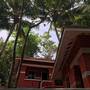 Горящие туры в отель Royal Pine Huts - 1