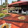 Горящие туры в отель Amelie Nelppura Beach Resort - 1