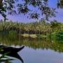Горящие туры в отель Taj Green Cove Resort & Spa Kovalam - 2