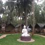 Горящие туры в отель Wanderers Hostel - 2