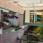 Горящие туры в отель Vailankanni Guesthouse - 5